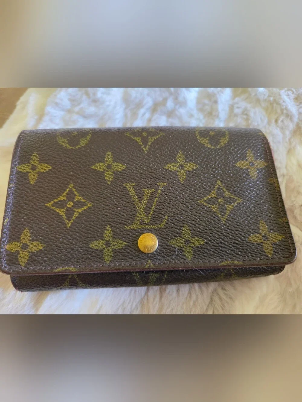 Vintage Louis Vuitton Project Wallet